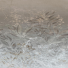 Ψηφιακή Εκτύπωση Τοίχου 1,50x2,70 Pure Harmony , Erismann