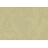 Wallcovering Metamorphosis , Parato