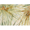 Wallcovering  J&V  Lemuria