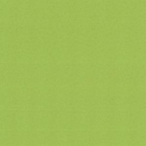 Ταπετσαρία Τοίχου Μονόχρωμη, All Around Deco, Studio360