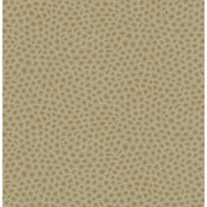 Cole & Son Ardmore Non Woven Ταπετσαρία Τοίχου