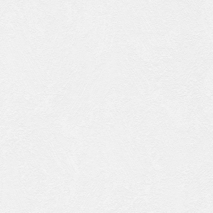 Wallpaper Technique Monochrome, AS Creation Black & White 4, Studio360 190918