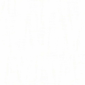 Ταπετσαρία Τοίχου Parato , Rio