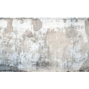 Φωτοταπετσαρία Τοίχου Τοίχος, Erismann Zooom