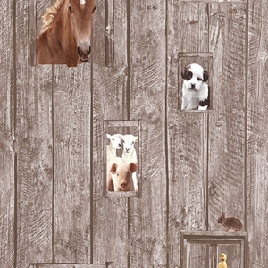 Wallpaper Animals, AS Creation Little Stars, Studio360 358422