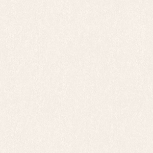 Ταπετσαρία Τοίχου AS Creation , Attractive 2 053Χ10,05Μ