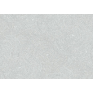 Wallcovering Metamorphosis , Parato