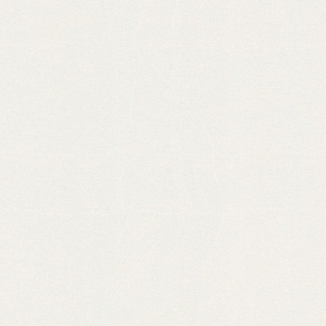 Ταπετσαρία Τοίχου AS Creation , Attractive 2 053Χ10,05Μ