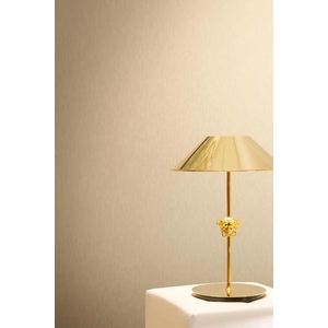 Wallcovering Versace 6 By AS Creation