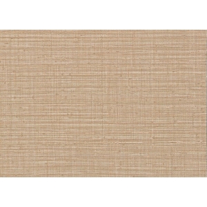 Wallcovering J&V Amazzonia