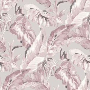 Wallpaper Parato, Amazonia