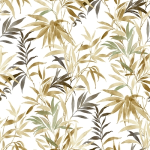 Wallpaper Parato, Amazonia