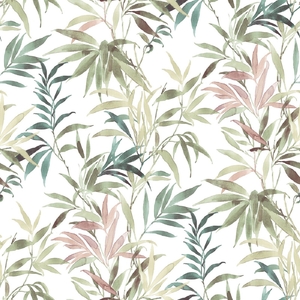 Wallpaper Parato, Amazonia