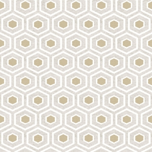 Wallpaper Parato, Amazonia