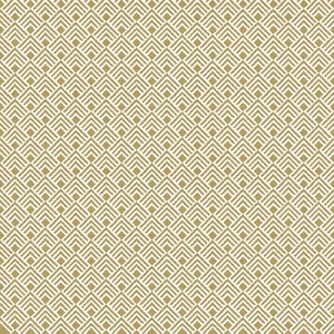 Wallpaper Parato, Amazonia