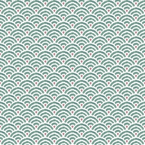 Wallpaper Parato, Amazonia