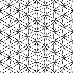 Wallpaper Parato, Amazonia