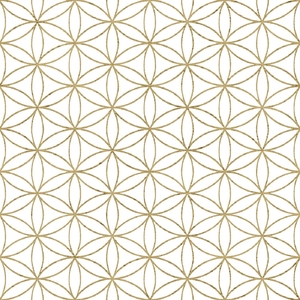 Wallpaper Parato, Amazonia