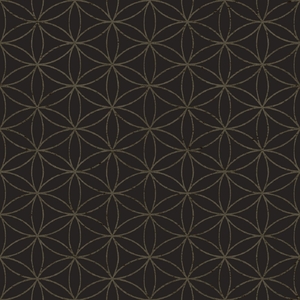 Wallpaper Parato, Amazonia