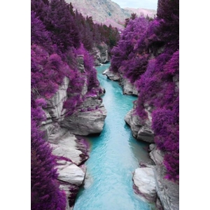 Digital Print Roller Blinds Nature, All Around Deco