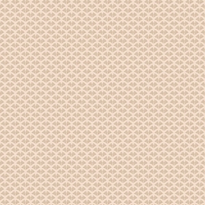 Wallpaper AS Creation, Trendwall 2 053X10.05M