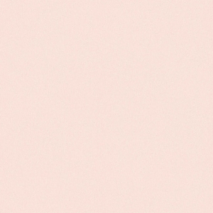 Ταπετσαρία Τοίχου AS Creation , Trendwall 2 053Χ10,05Μ