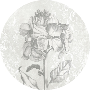 Φωτοταπετσαρία Τοίχου Komar Home Imagine Edition 4