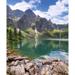 Digital Print Roller Blinds Nature, All Around Deco