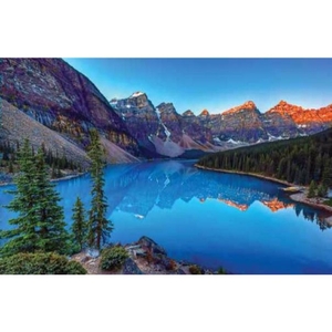 Digital Print Roller Blinds Nature, All Around Deco