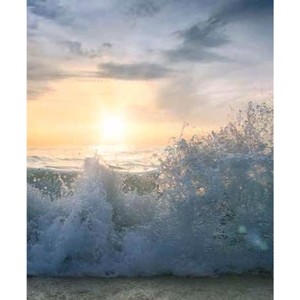 Digital Print Roller Blinds Nature, All Around Deco