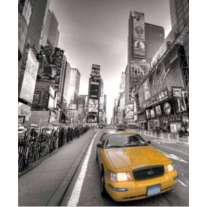 Digital Print Roller Blinds Cities , All Around Deco