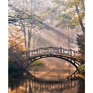 Digital Print Roller Blinds Nature, All Around Deco