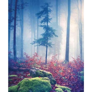 Digital Print Roller Blinds Nature, All Around Deco