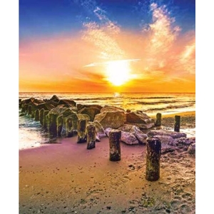 Digital Print Roller Blinds Nature, All Around Deco