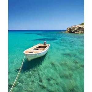 Digital Print Roller Blinds Nature, All Around Deco