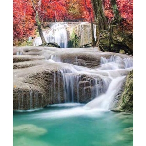 Digital Print Roller Blinds Nature, All Around Deco