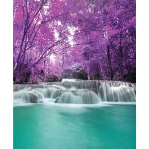 Digital Print Roller Blinds Nature, All Around Deco