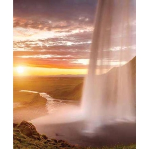 Digital Print Roller Blinds Nature, All Around Deco