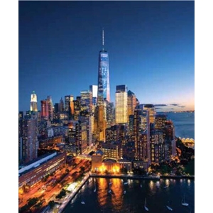 Digital Print Roller Blinds Cities , All Around Deco