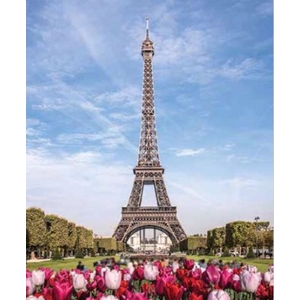 Digital Print Roller Blinds Cities , All Around Deco