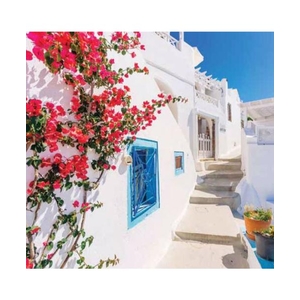 Digital Print Roller Blinds Cities , All Around Deco