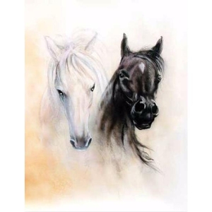 Digital Print Roller Blinds Art , All Around Deco