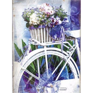 Digital Print Roller Blinds Art , All Around Deco