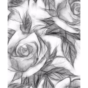 Digital Print Roller Blinds Art , All Around Deco