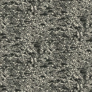 Ταπετσαρία Τοίχου Roberto Cavali Home No.8