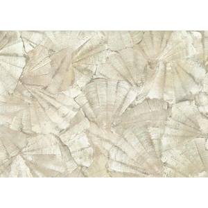 Ταπετσαρία Τοίχου J&V  Lithos