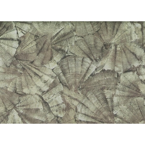 Ταπετσαρία Τοίχου J&V  Lithos