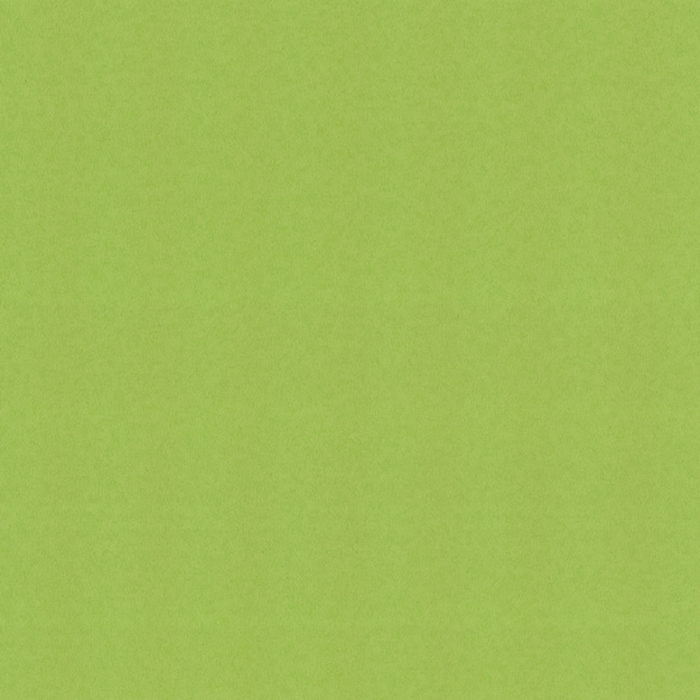 Ταπετσαρία Τοίχου Μονόχρωμη, All Around Deco, Studio360