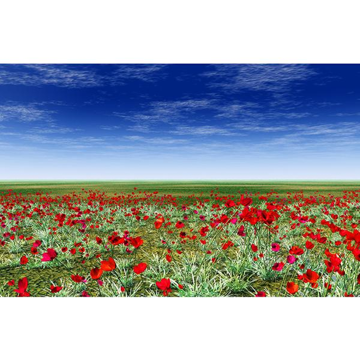 Ψηφιακή Εκτύπωση σε Καμβά 120X080, All round Deco