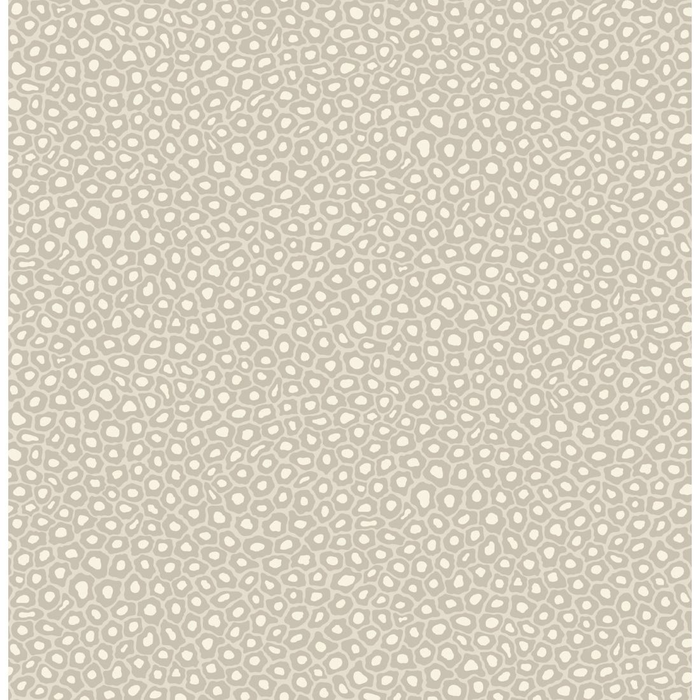Cole & Son Ardmore Non Woven Wallpaper